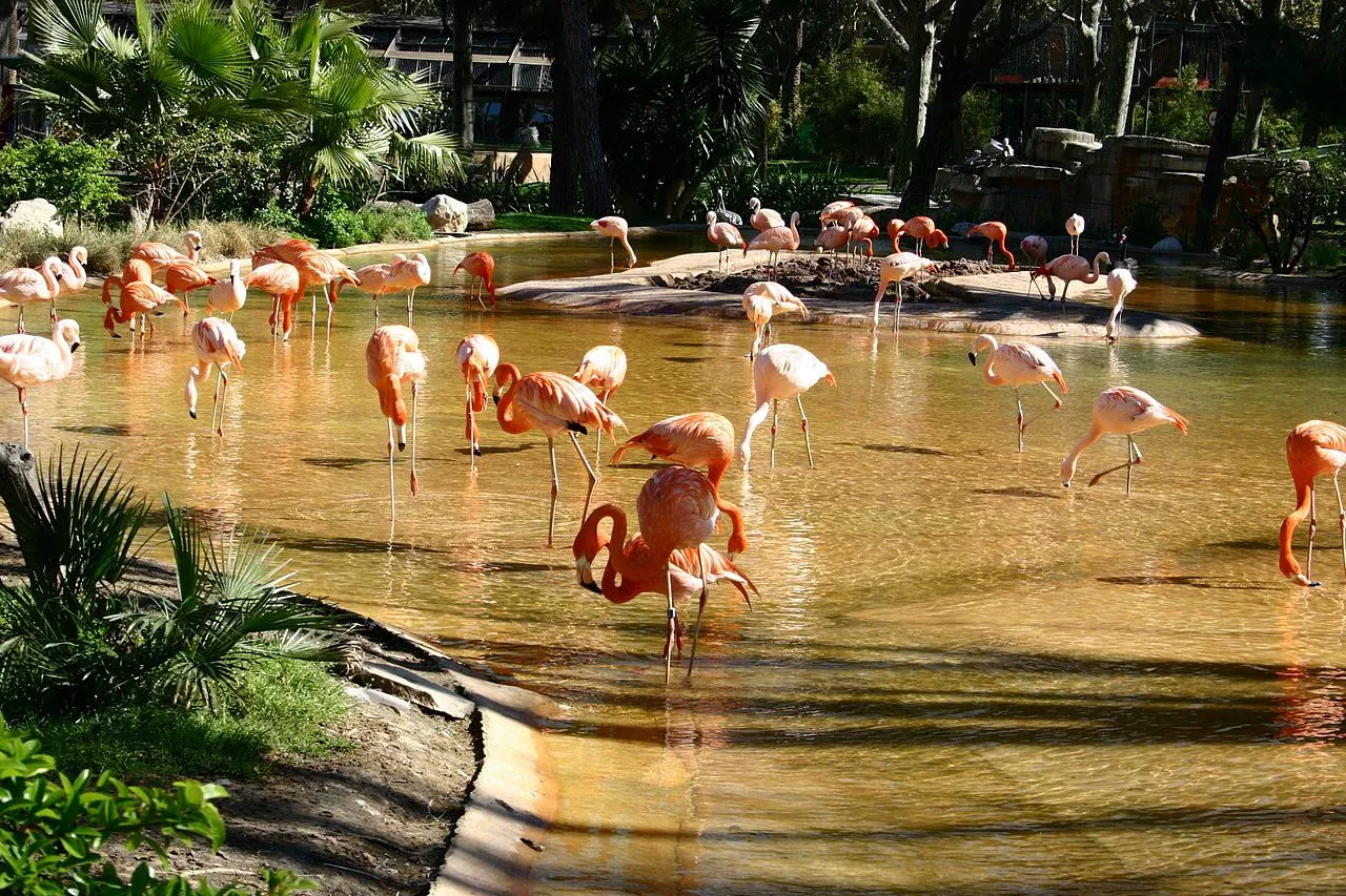 Barcelone Zoo